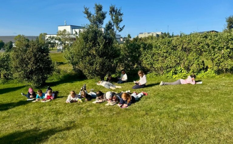 Stuðningsfulltrúi óskast við grunnskóla Húnaþings vestra