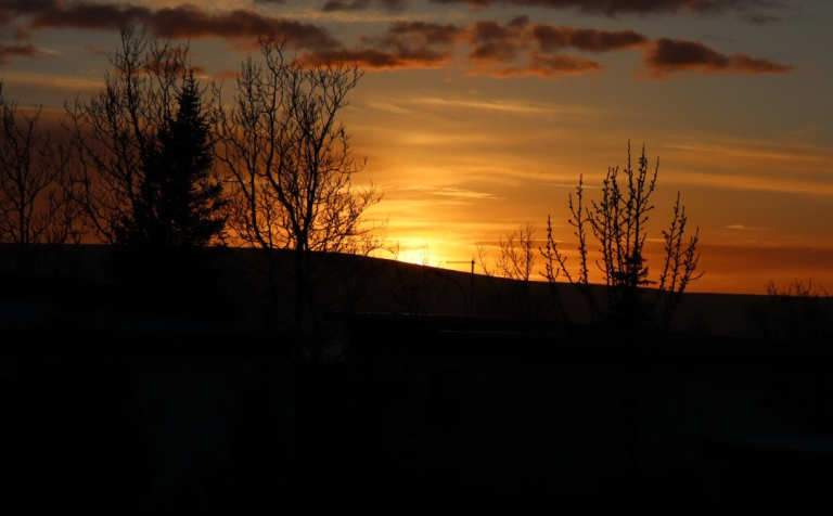 Laus íbúð í Nestúni