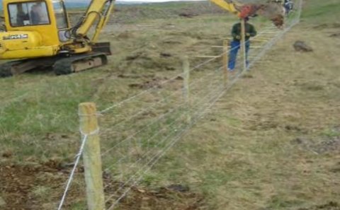 Viðhald girðinga meðfram vegum - tilkynna.