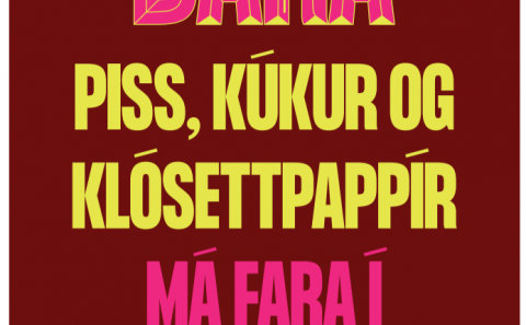 Alþjóðlegi klósettdagurinn er í dag