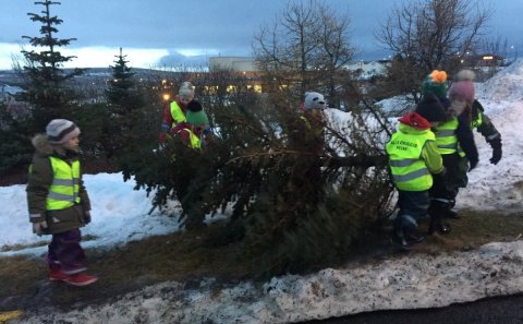 Söfnun jólatrjáa 2022