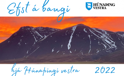 Hvað var að frétta árið 2022