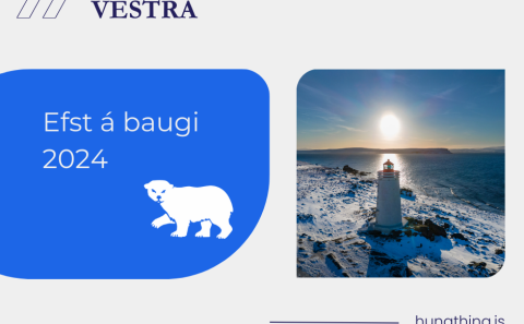 Efst á baugi 2024