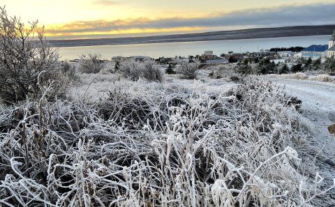 Úthlutun úr Atvinnu- og nýsköpunarsjóði Húnaþings vestra
