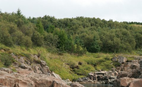 Umhverfisviðurkenningar 2023