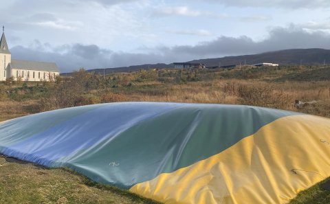 Ærslabelgurinn farinn í vetrarfrí