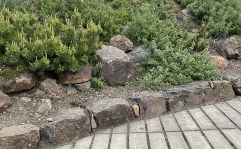 Óskað eftir: Flokksstjórum vinnuskólans fyrir sumarið 2024