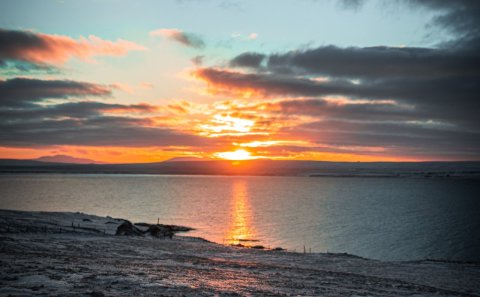Starf þroskaþjálfa laust til umsóknar