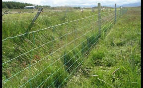 Bændur/landeigendur