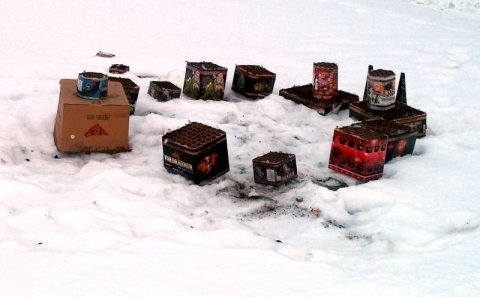 * Umhverfismoli * Áramót *