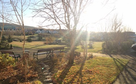 Vinnuskólinn 2020 - skráning