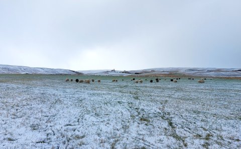Mynd: Sigríður Ólafsdóttir.
