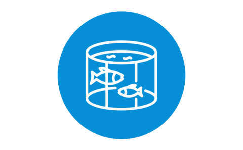 Bókun sveitarstjórnar vegna laxeldis í opnum sjókvíum