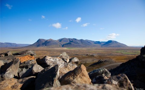 Sveitarstjórnarfundur 12. júní 2025