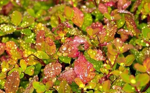 Mynd: Ragnar Th. Sigurðsson