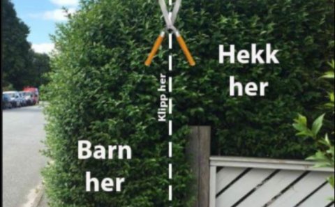 Hirðing gróðurs við lóðamörk