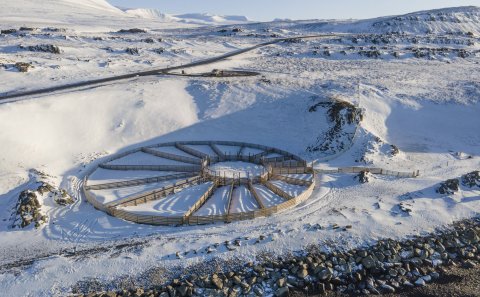 Hamarsrétt. Mynd: Róbert Daníel Jónsson.