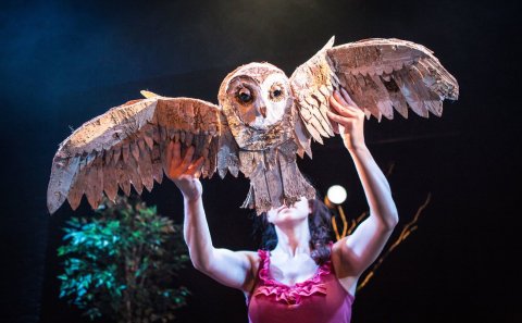 Handbendi brúðuleikhús hlýtur Eyrarrósina