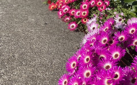 Dagbók sveitarstjóra