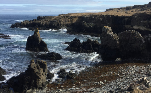Skipulagslýsing fyrir Flatnefsstaði, Vatnsnesi, Húnaþingi vestra