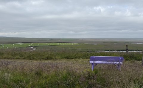 Bekkurinn á gönguleið við Laugarbakka.