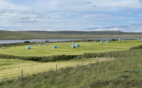 Bókun byggðarráðs um alvarlega stöðu í landbúnaði