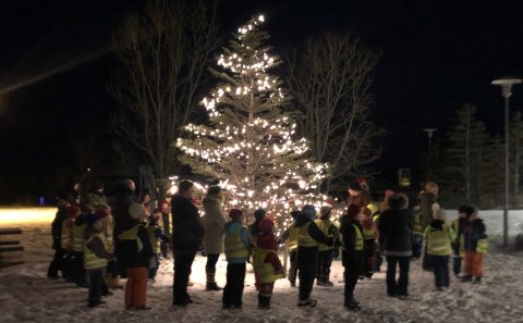 Ljósin tendruð á jólatréinu