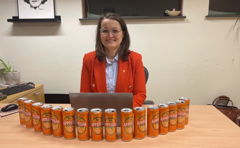 Dagbók sveitarstjóra