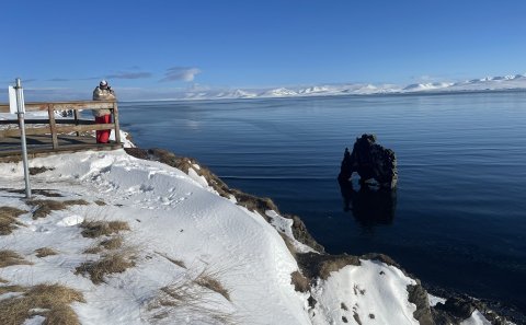 Úr vettvangsheimsók að Hvítserk í liðinni viku.
