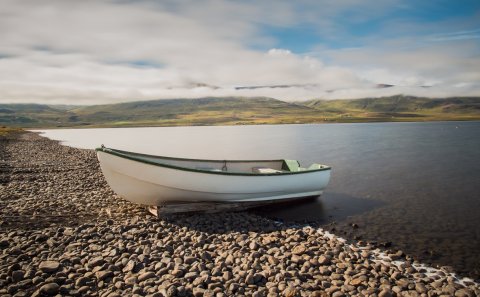 Mynd: arianarama, iStock.