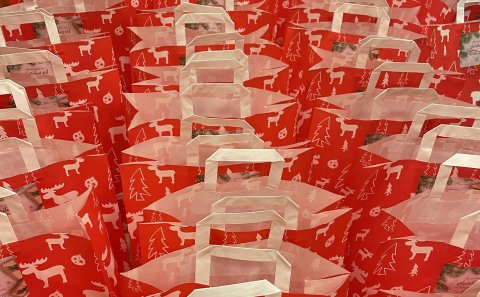 Dagbók sveitarstjóra