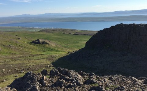 Hreinsunarátak - auka opnun í Hirðu um helgina
