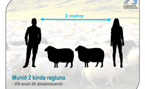 Göngur og réttir í Húnaþingi vestra 2020