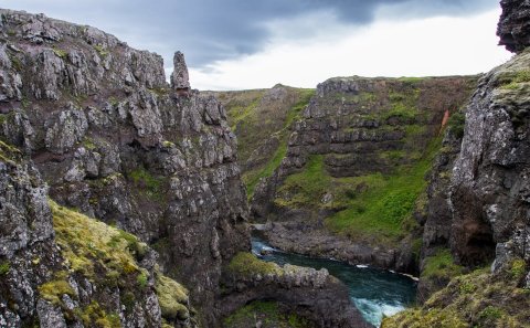 Minkaveiði í Víðidal