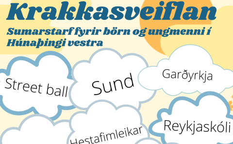 Krakkasveiflan - nýtt fyrir 1. - 7. bekk í sumar!