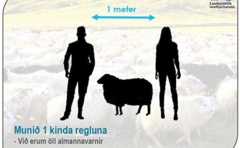 Tveggja kinda reglan verður einnar kindar regla