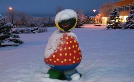 Sorphirða á Þorláksmessu - moka snjó frá tunnum