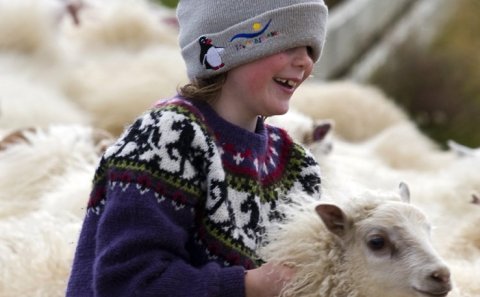 Frá hugmynd að rekstri - námskeið og erindi