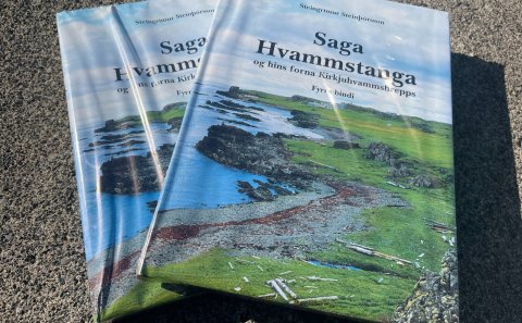 Saga Hvammstanga og hins forna Kirkjuhvammshrepps