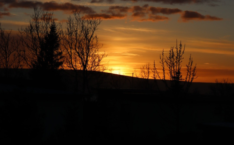 Laus íbúð í Nestúni