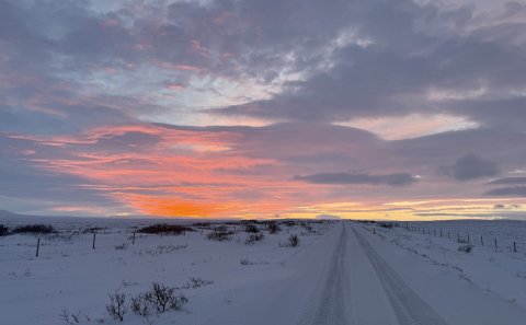 Dagbók sveitarstjóra