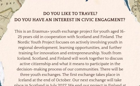 The Nordic Youth project