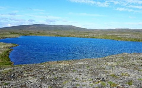 Vegir á Víðidalstunguheiði