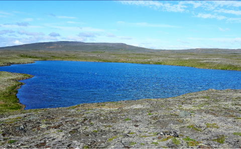 Veiði á Víðidalstunguheiði