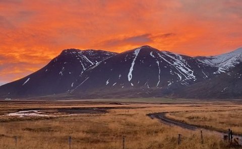 Veiði á Víðidalstunguheiði