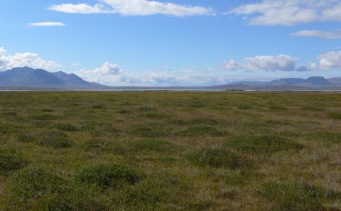 Aðalfundur Veiðifélags Víðidalstunguheiðar