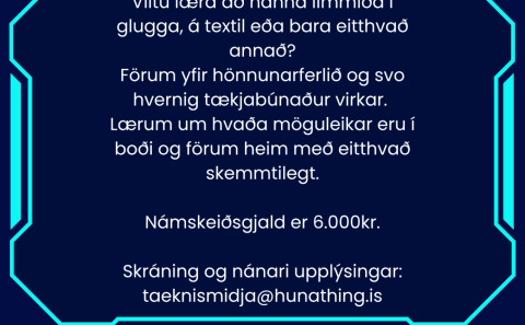 LÆRÐU Á VÍNILSKERA!