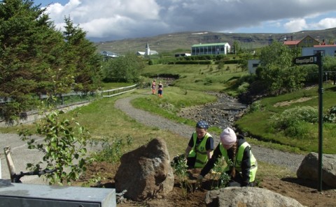 Vinnuskóli Húnaþings vestra 2014