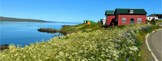 Ertu að flytja í Húnaþing?